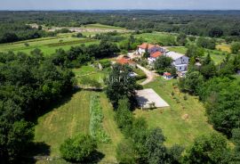 Istra, Žminj - obiteljsko imanje, 2 kuće s bazenima i 1 poslovni prostor, Žminj, Terra