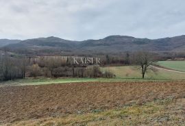 Istra, Motovun - građevinsko zemljište T2, pogled Motovun, Motovun, Terrain