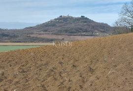 Istra, Motovun - građevinsko zemljište T2, pogled Motovun, Motovun, Land