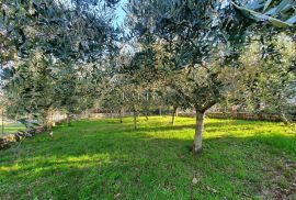 Istra - Poreč, kamena kuća, starina, pogled more ekskluziva, Poreč, Σπίτι