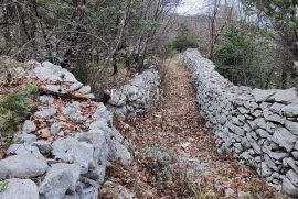 Brseč - poljoprivredno zemljište, 5550 m2, Mošćenička Draga, Terrain