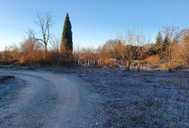 Istra - Poreč, građevinsko zemljište 3050 m2, Poreč, Land