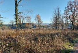 Istra, Motovun okolica, zemljište s dozvolom za gradnju, Motovun, Zemljište