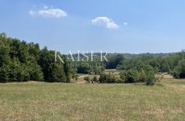 Istra, Motovun okolica, projekt s građevinskom dozvolom, Motovun, Land