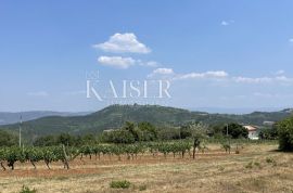 Istra, Motovun okolica - građevinska dozvola za kuću, Motovun, Terra