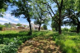 Istra - Lovreč, PRILIKA kamena kuća sa okućnicom 7000 m2, Sveti Lovreč, Casa