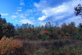 Istra, Labin - građevinsko zemljište nedaleko od mora, 5.600 m2, Labin, Земля