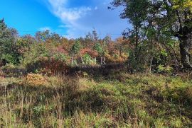 Istra, Labin - građevinsko zemljište nedaleko od mora, 5.600 m2, Labin, Terreno