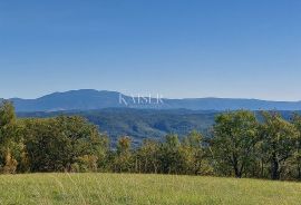 Istra, Motovun, građevinsko zemljište s dozvolama za luksuzne vile, Motovun, Terra