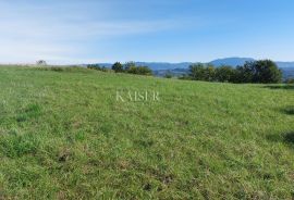 Istra, Motovun, građevinsko zemljište s dozvolama za luksuzne vile, Motovun, Land