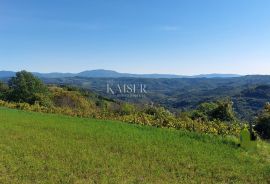 Istra, Motovun okolica, zemljište s građevinskom dozvolom za kuću, Motovun, Land