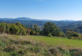 Istra, Motovun okolica, zemljište s građevinskom dozvolom za kuću, Motovun, Land