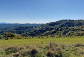 Istra, Motovun okolica, zemljište s građevinskom dozvolom za kuću, Motovun, Land