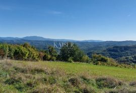 Istra, Motovun okolica, zemljište s građevinskom dozvolom za kuću, Motovun, أرض