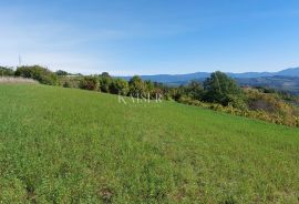 Istra, Motovun okolica, zemljište s građevinskom dozvolom za kuću, Motovun, Zemljište