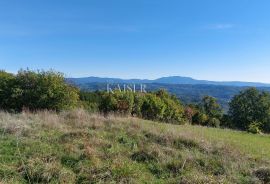 Istra, Motovun okolica, zemljište s građevinskom dozvolom za kuću, Motovun, Земля