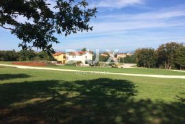 ISTRA, BARBAN - Prostrano uređeno građevinsko zemljište s pripadajučom šumom, Barban, Land