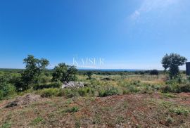 Istra, Barbariga poljoprivredno zemljište 550m2, Vodnjan, Terrain