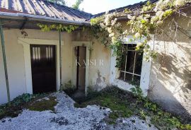 Labin - imanje s kućom i građevinskim zemljištem, 90.000 m2, Labin, House