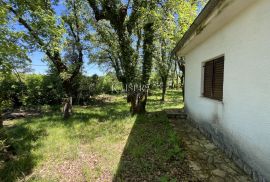 Otok Krk, Dobrinj - Predivna kuća 139 m2 sa okućnicom od 2769 m2, Dobrinj, House