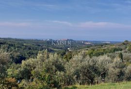 Istra, Momjan - vila s panoramskim pogledom na more i prirodu, Buje, Ev