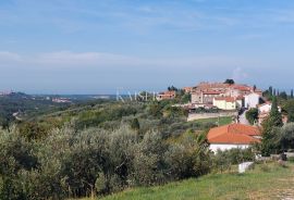 Istra, Momjan - vila s panoramskim pogledom na more i prirodu, Buje, Maison