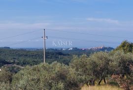 Istra, Momjan - vila s panoramskim pogledom na more i prirodu, Buje, Σπίτι