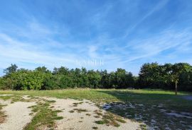 Marčana, okolica - imanje s kućom i građevinskim terenom, 20.000 m2, Marčana, Zemljište