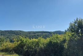 Istra, Motovun - građevinsko zemljište, Motovun, Terrain