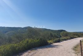 Istra, Motovun - građevinsko zemljište, Motovun, Terra