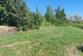 Istra, Motovun - građevinsko zemljište, Motovun, Terrain