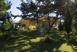 Istra, Pazin - jedinstveno imanje, 42.000 m2, Pazin, Terrain