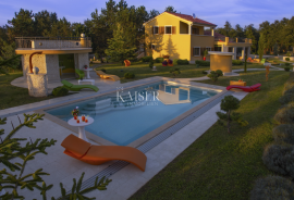 Istra, Pazin - jedinstveno imanje, 42.000 m2, Pazin, Land