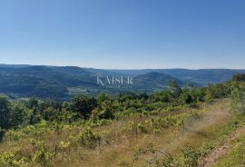 Istra, Motovun- građevinsko zemljište s predivnim panoramskim pogledom, Motovun, Terrain