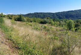 Istra, Motovun- građevinsko zemljište s predivnim panoramskim pogledom, Motovun, Terrain