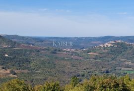 Istra, Motovun- građevinsko zemljište s predivnim panoramskim pogledom, Motovun, Terreno