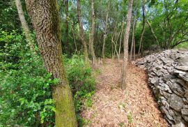 Istra - Poreč, poljoprivredno zemljište u zoni turističke gradnje, Tar-Vabriga, Terrain