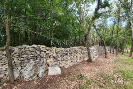 Istra - Poreč, poljoprivredno zemljište u zoni turističke gradnje, Tar-Vabriga, Γη