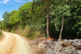 Istra - Poreč, poljoprivredno zemljište u zoni turističke gradnje, Tar-Vabriga, Arazi