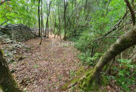 Istra - Poreč, poljoprivredno zemljište u zoni turističke gradnje, Tar-Vabriga, Земля