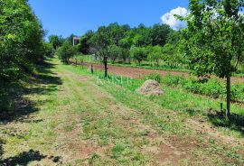 Labin - imanje s kućom, 28.000m2, Labin, Terrain