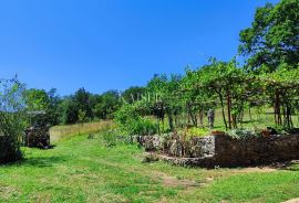 Labin - imanje s kućom, 28.000m2, Labin, Zemljište