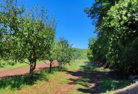 Labin - imanje s kućom, 28.000m2, Labin, Terreno