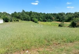 Istra, Tinjan - građevinsko zemljište, Tinjan, Land