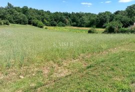 Istra, Tinjan - građevinsko zemljište, Tinjan, Arazi