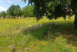 Istra - Višnjan, prekrasno građevinsko zemljište pogled more, Višnjan, Land