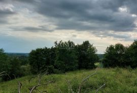 Istra - Grožnjan - građevinsko zemljište s prekrasnim pogledom, Grožnjan, Land