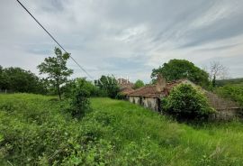 Istra - kamena stancija  90 000m2 u komadu, Vižinada, Terreno