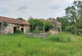 Istra - kamena stancija  90 000m2 u komadu, Vižinada, Terrain