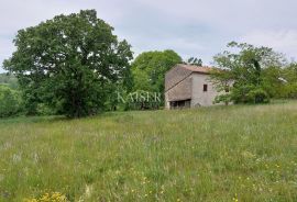 Istra - kamena stancija  90 000m2 u komadu, Vižinada, Tierra